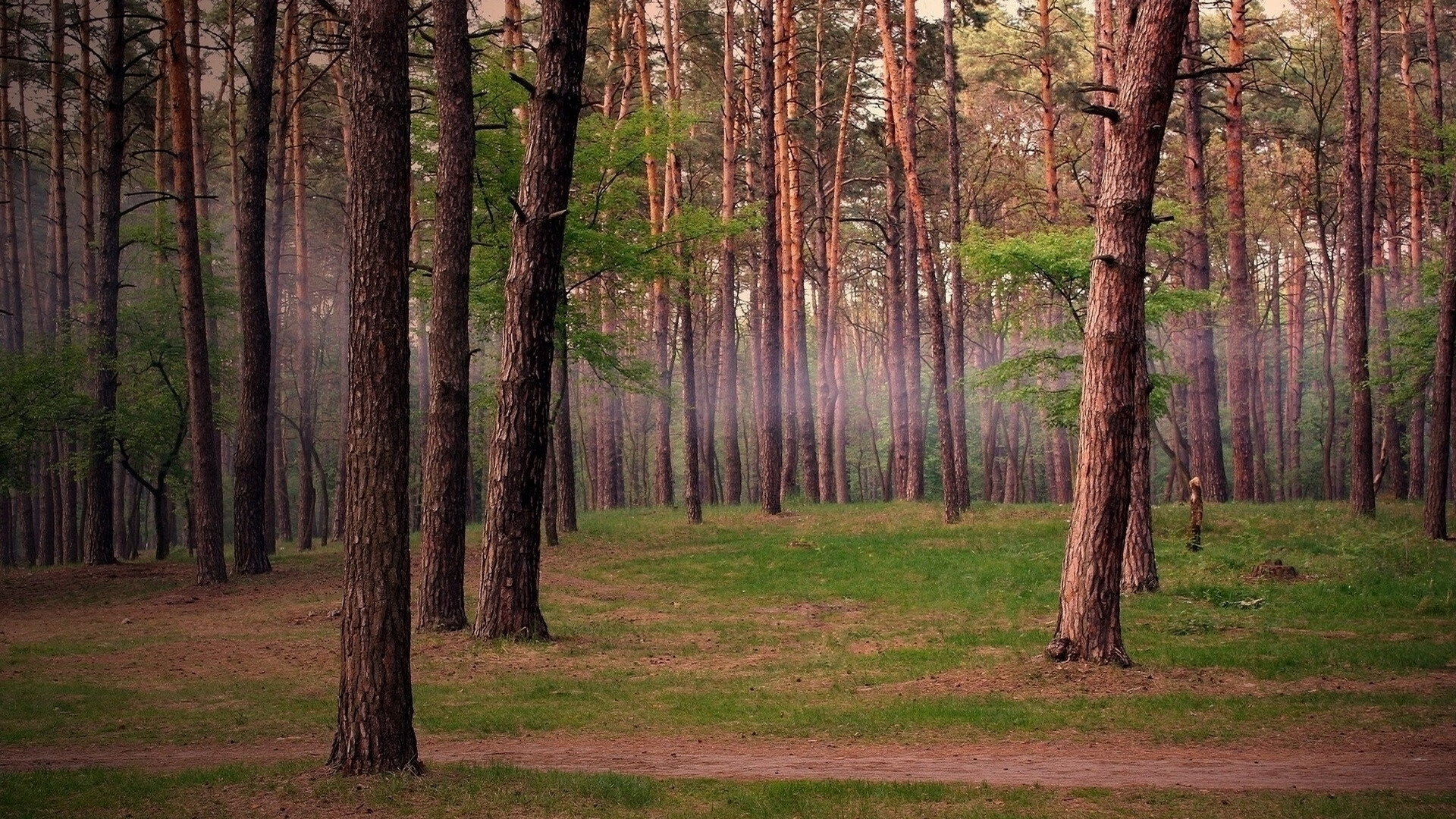 上海东方体育中心完成5G-A网络升级，支持万名观众同时流畅直播。